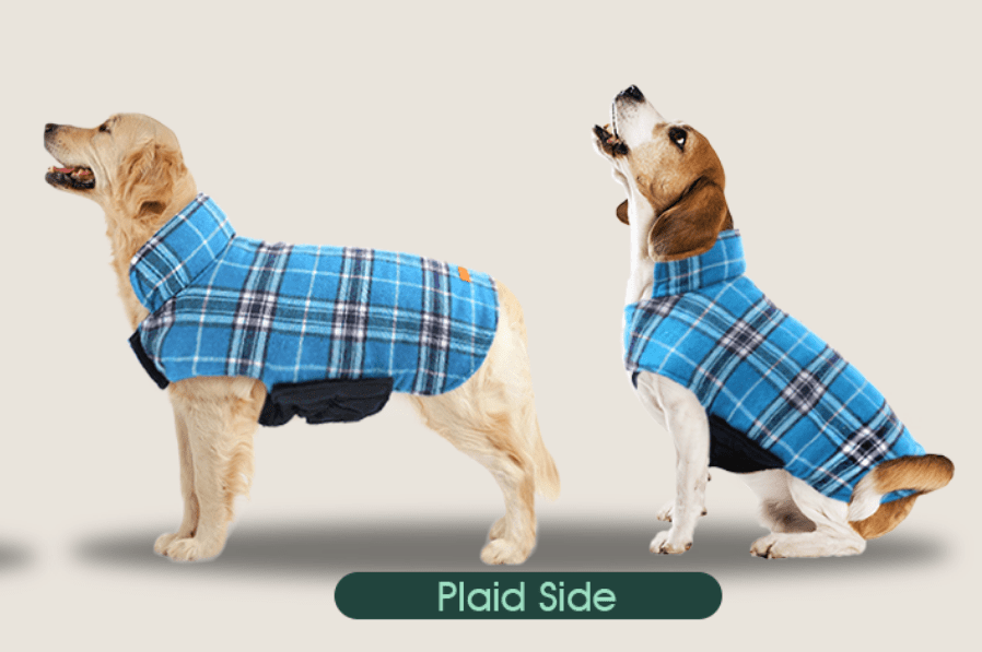 Kuoser Warm Dog Coat Review: Stylish Comfort for Your Canine&nbsp;Companion